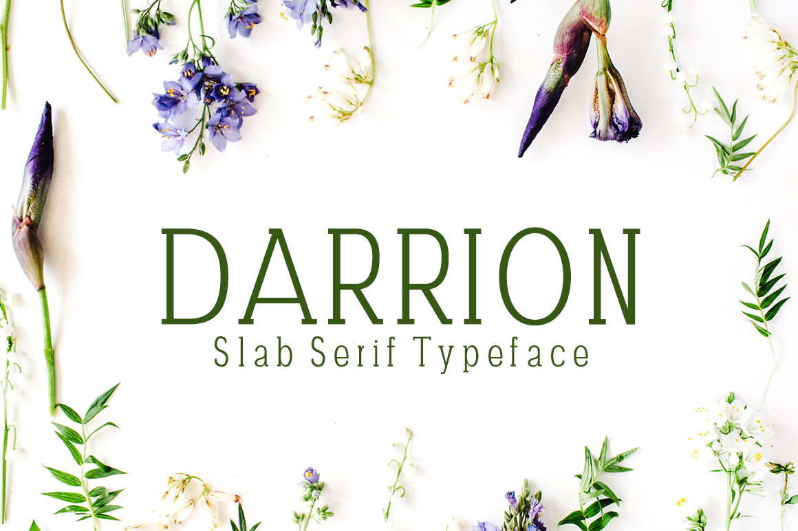 Darrion: A Slab Serif Typeface Built for Practical and Creative Workflows
