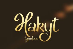 Hakyt: A Bold Script Font That Balances Character With Function