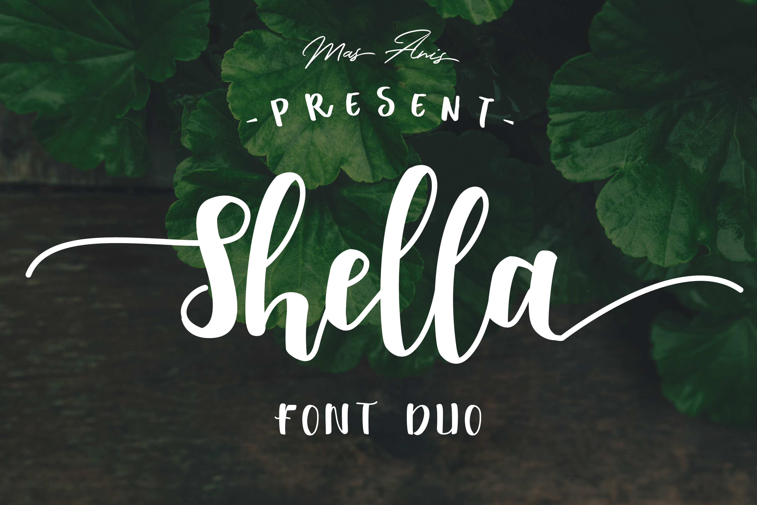 Shella Font Duo: Warm Hand-Brushed Type for Creators