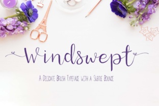 Windswept: A Delicate Brush Font with Modern Bounce